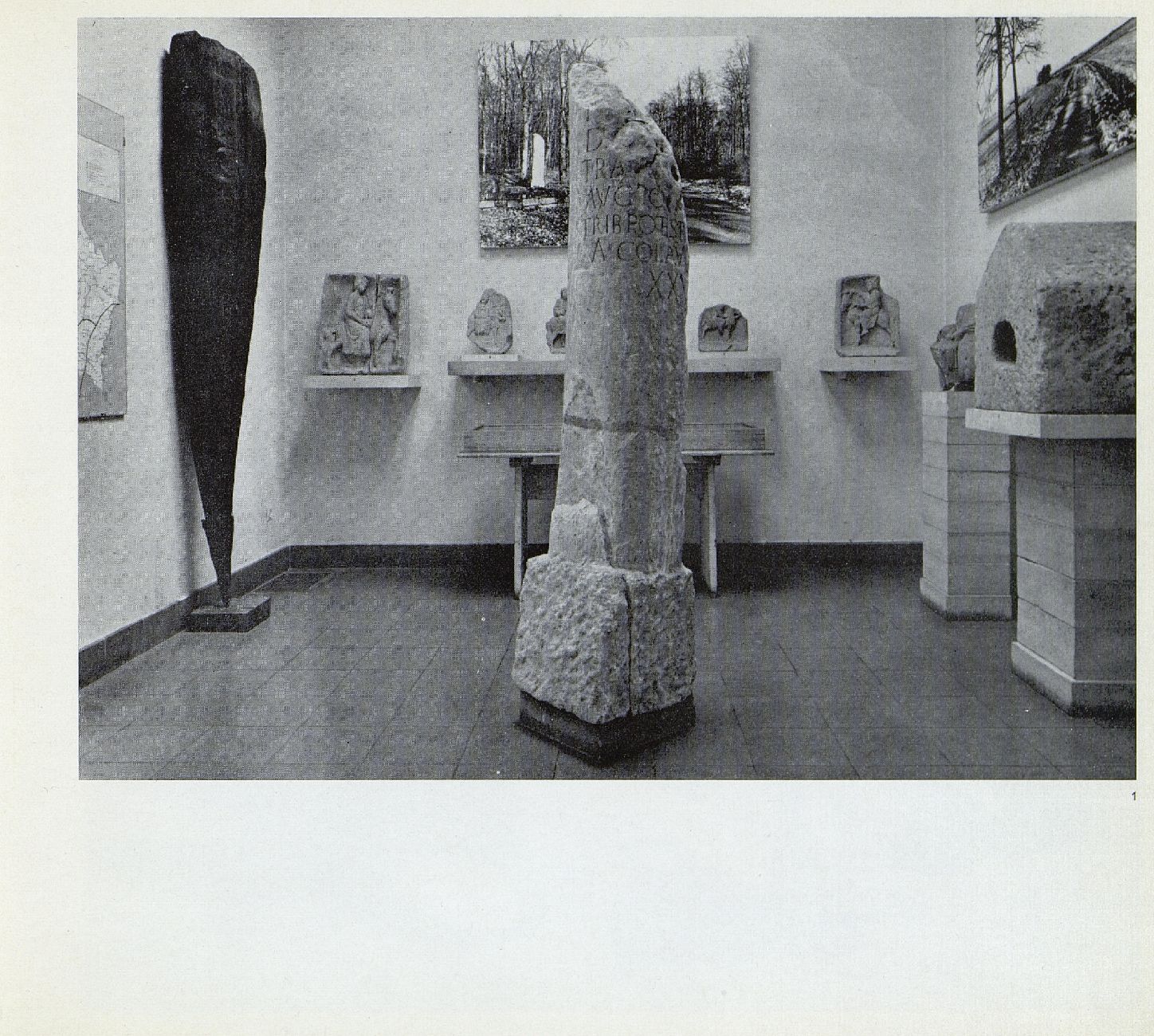 Object Image
