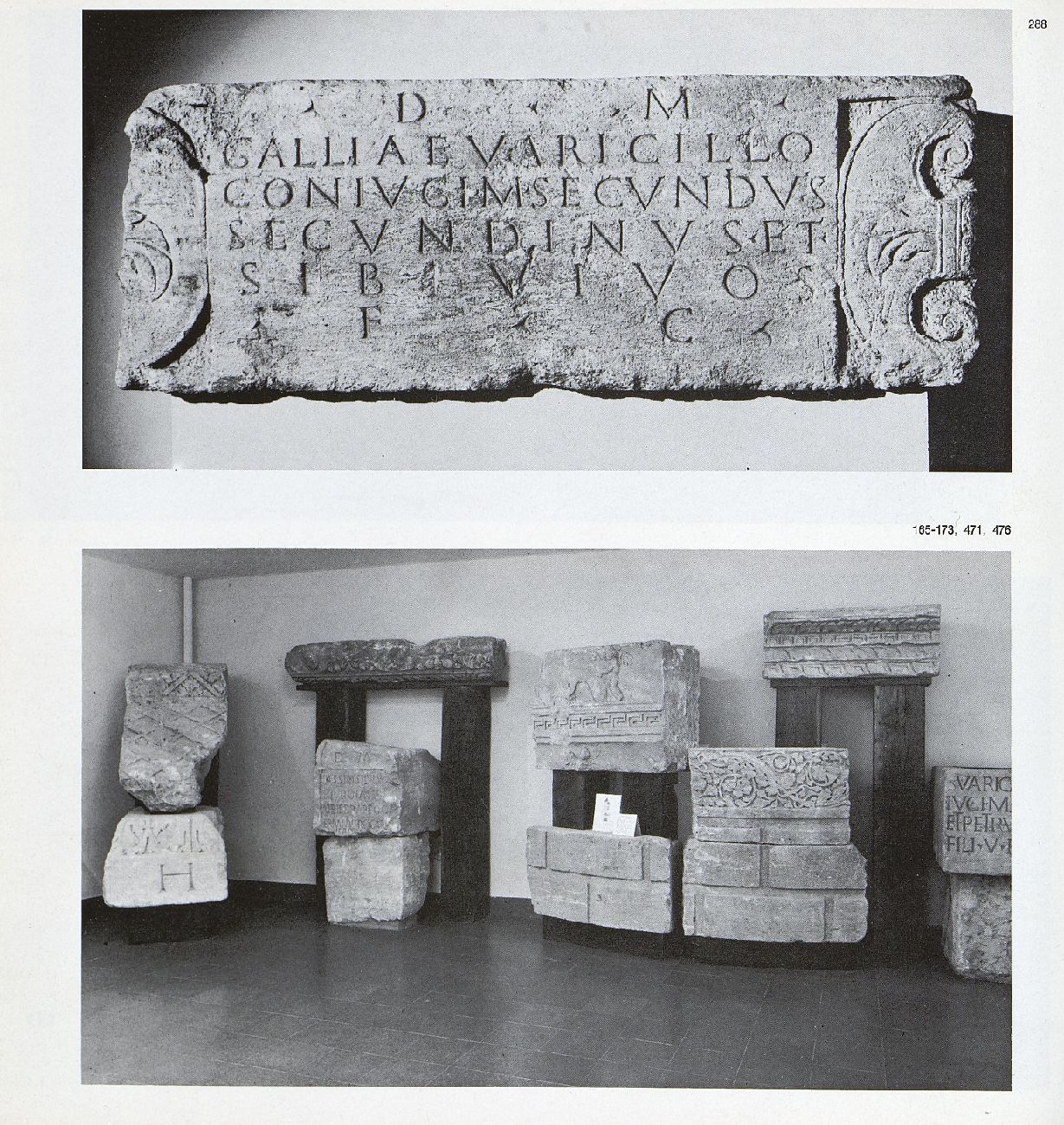 Object Image