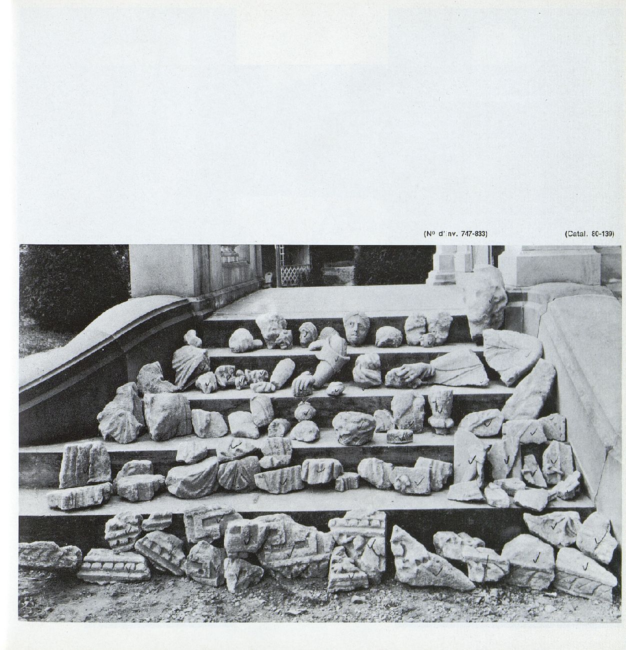 Object Image