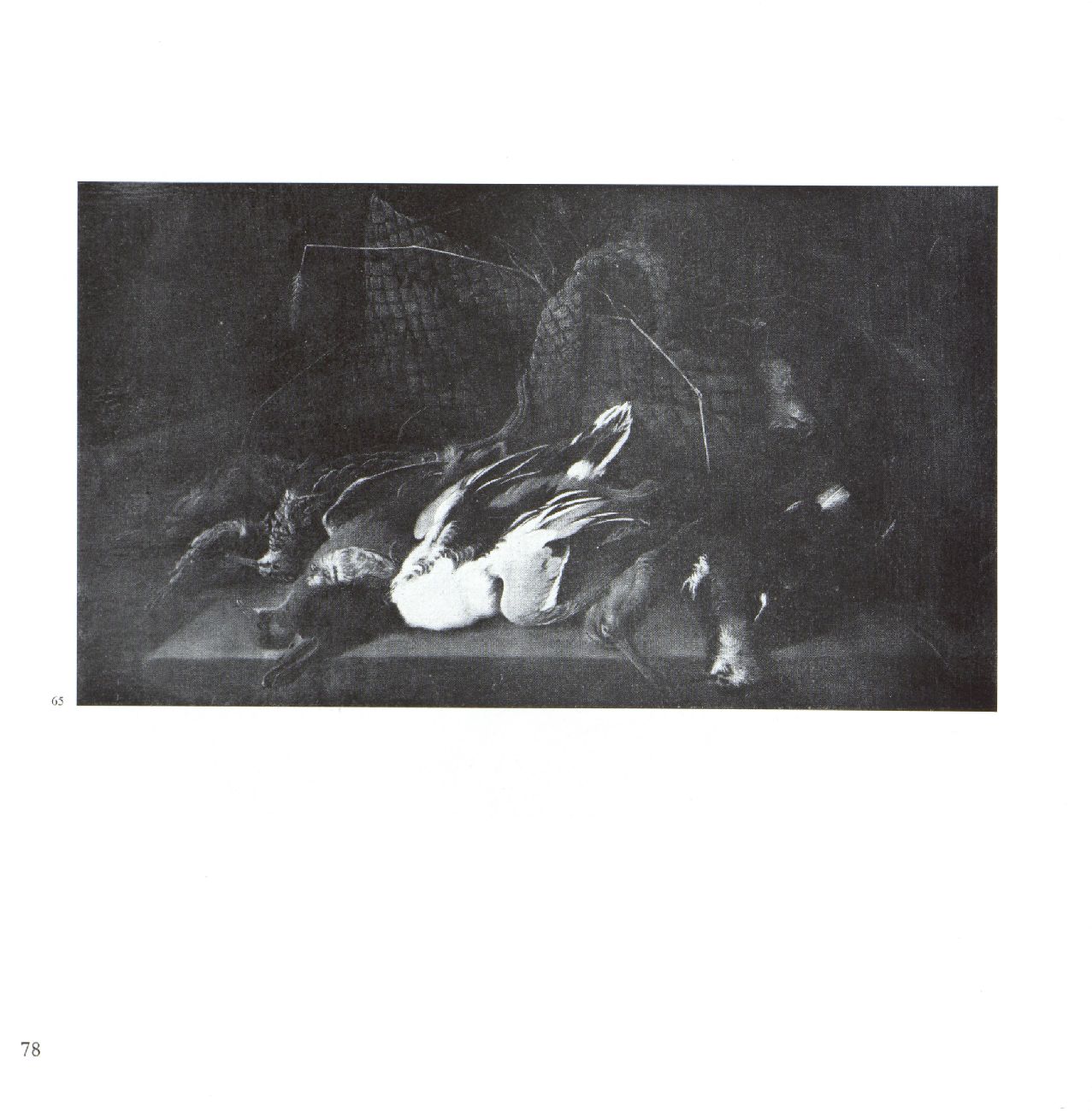Object Image