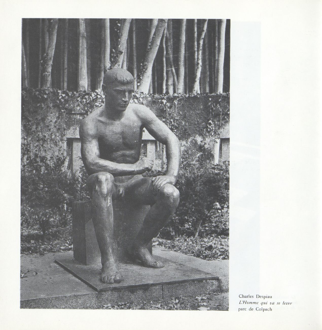 Object Image