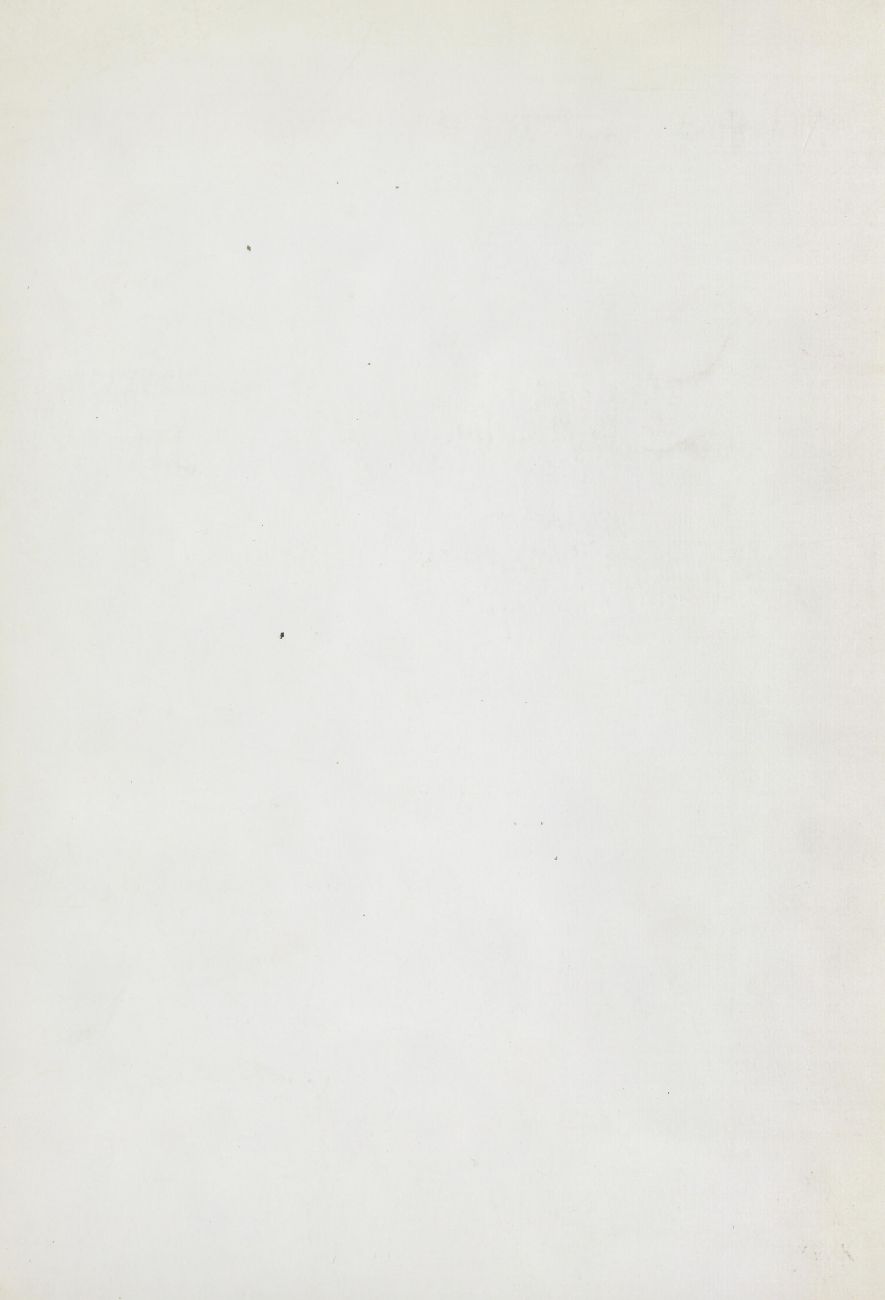 Object Image