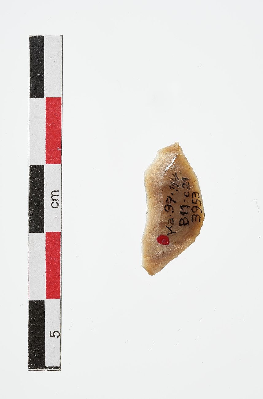 Object Image
